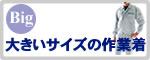 傫TCY̍ƒEƕW